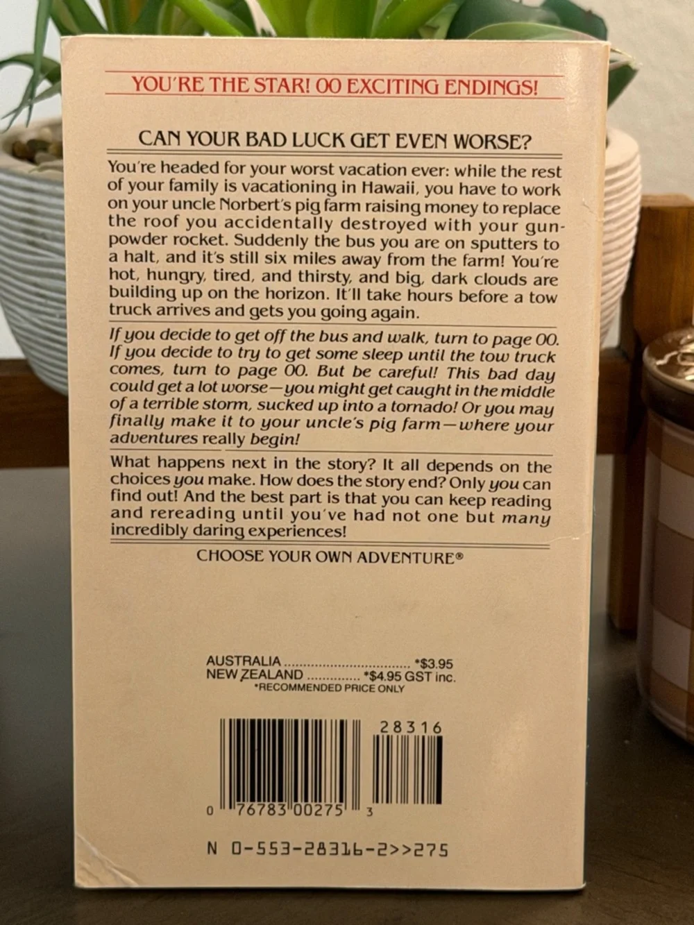 Choose Your Own Adventure Book~ The Worst Day Of Your Life